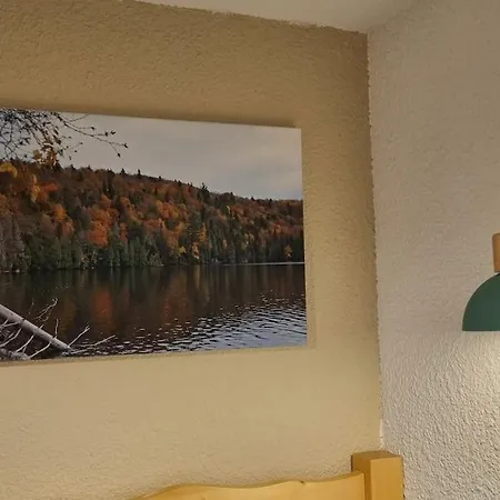 Appartement Le Montagnard *