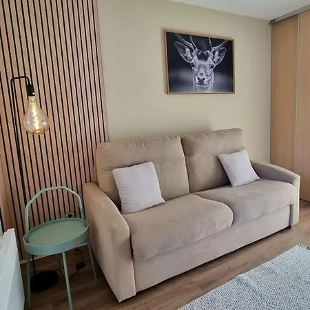 Appartement Le Montagnard *