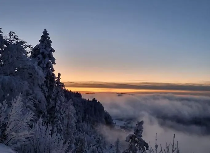 Le Montagnard 아파트